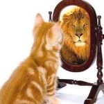 Cat looking in a mirror and seeing a reflection of a lion